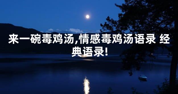 来一碗毒鸡汤,情感毒鸡汤语录 经典语录!